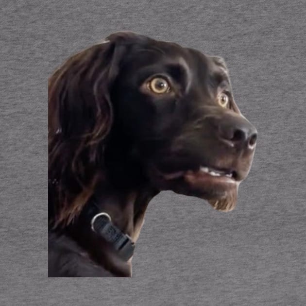 Confused Dogs Shirt, Awkward Dogs, Awkward Staring, Two Dogs Staring Matching by CamavIngora